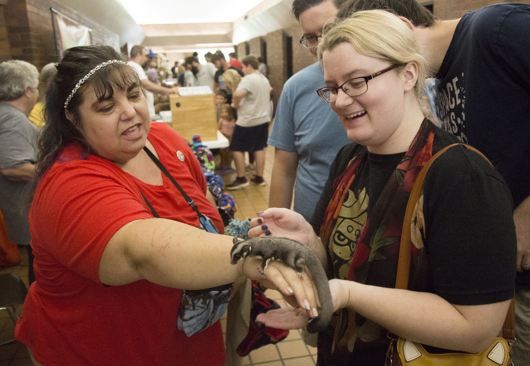 Show Me Reptile and Exotics Show